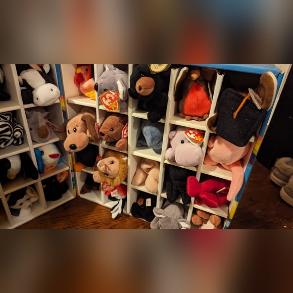 40 TY Beanie Babies and Beanie Ark Carrying Case! - Picture 8 of 10